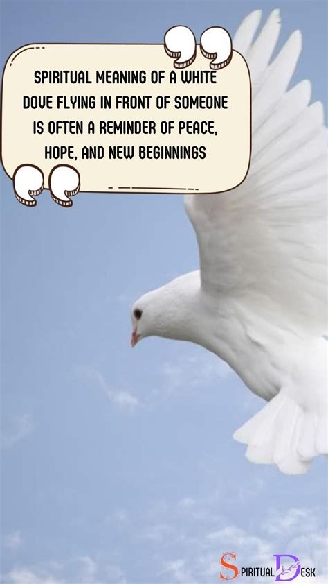 Spiritual Meaning of White Dove Flying in Front of You: Hope | Dove ...