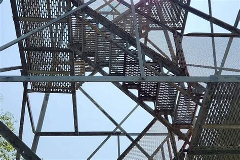 BERNHEIM FIRE TOWER (2025) All You Need to Know BEFORE You Go (with ...