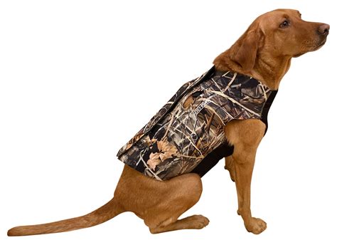 10 Best Camo Dog Vests That Your Pup Will Love - Your Ultimate Buying ...