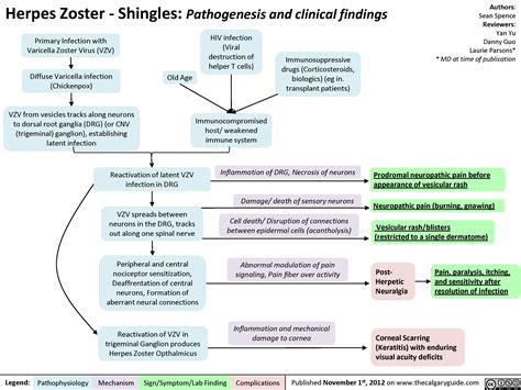 Pdf Disseminated Herpes Zoster In An Immunocompetent