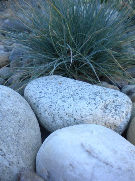 River Rocks in the Backyard