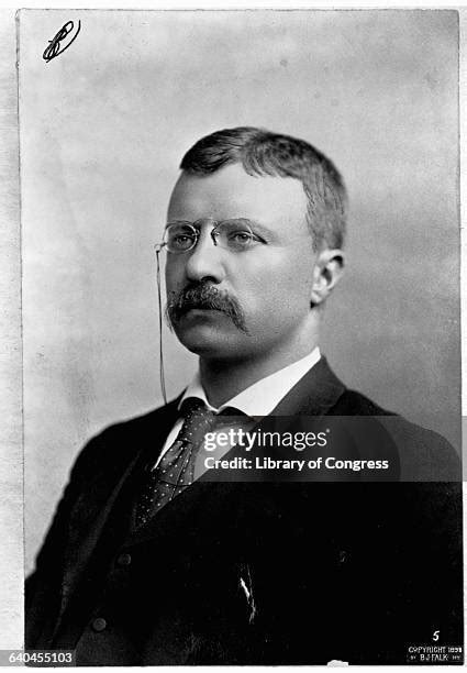 Teddy Roosevelt 的图像结果