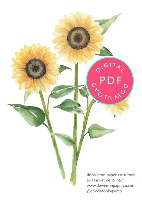 Image result for Watercolour Sunflower Tutorial