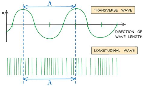 Longitudinal & Transverse Waves - Notes | Study Physics for Grade 12 ...