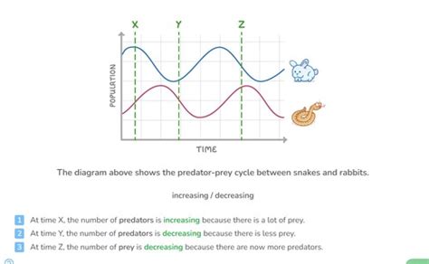 Image result for Predator-Prey Cycles
