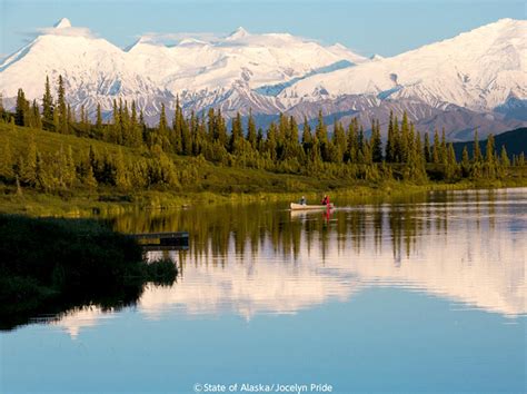 アラスカ 州 シャチ に対する画像結果