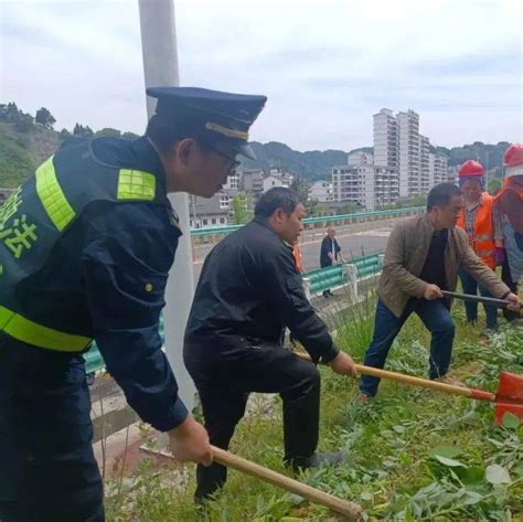 【打非治违】台江县开展高速公路用地非法种植农作物专项整治行动_剑河_执法人员_巡查