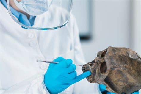 Forensic Science DNA 的图像结果