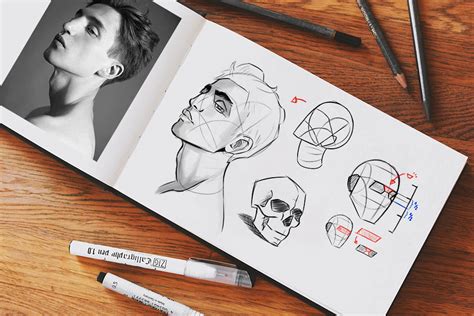 Image result for Face Structure Drawing