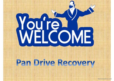 USB Drive Data Recovery 的图像结果