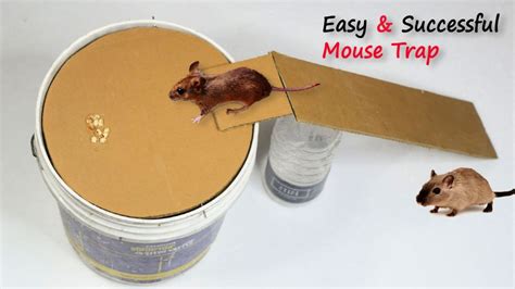 Electronic Mouse Trap Homemade 的图像结果