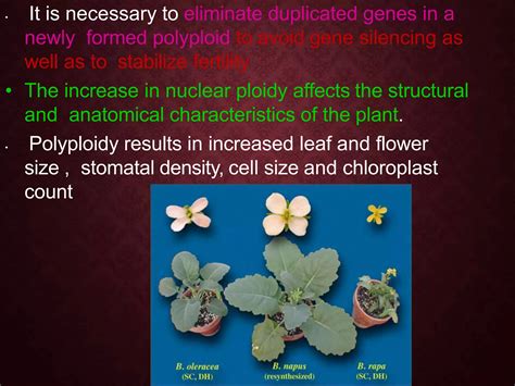 Polyploidy, Mutation and Hybridization with reference to Medicinal ...