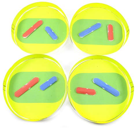 Biological Reproduction Model Kit 的图像结果