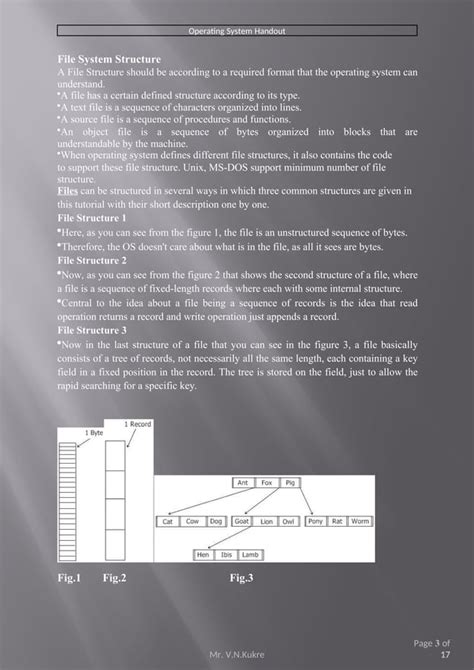 File Space Allocation 的图像结果