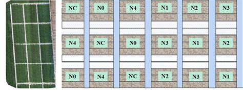 Image result for Research Layout Map