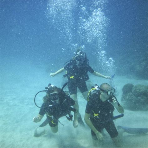 Best Scuba Diving Schools In Chennai | LBB, Chennai