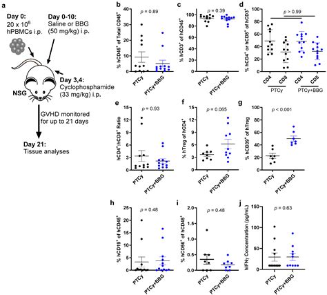 Post-Transplant Cyclophosphamide Combined with Brilliant Blue G Reduces ...