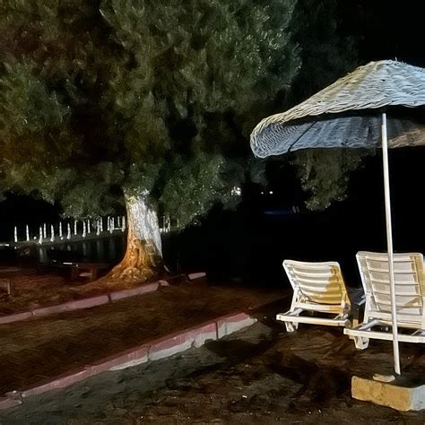 BAHARIN BAHCE PANSIYON (Milas, Turkey - Mugla Province) - Lodge Reviews ...