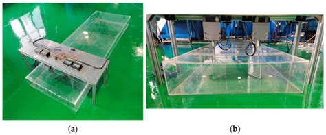 Comparative Analysis of the Hydrodynamic Performance of Dual Flapping ...