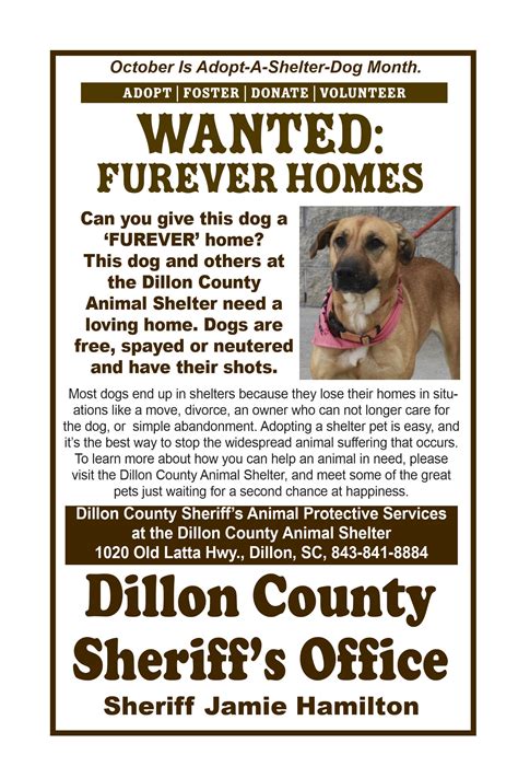 Dillon District Four Board Approves School Calendar Draft, Elects ...