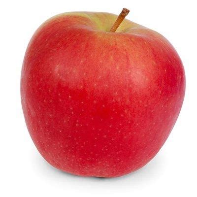 Image result for Apple Basic Programming Example
