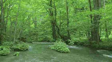 有山有水有树林，河南7个景区保证你过一个清凉的夏天|水帘仙宫瀑布|老君山|大淙潭瀑布_新浪新闻