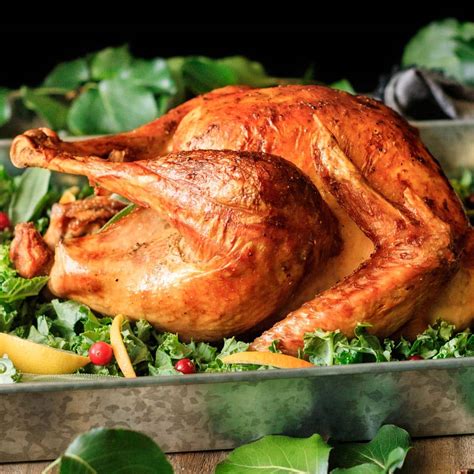 Cooked Turkey 的图像结果