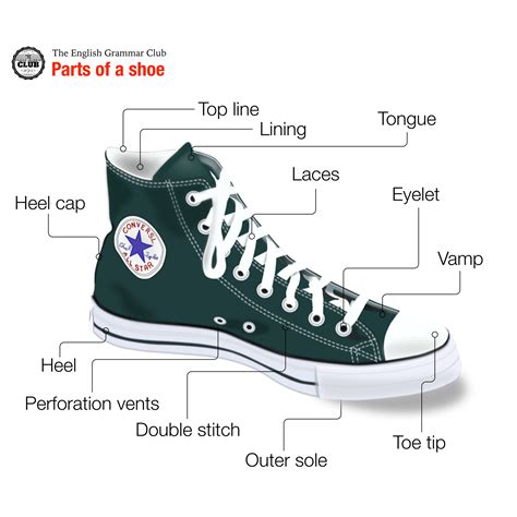 Labeled Parts Of A Shoe