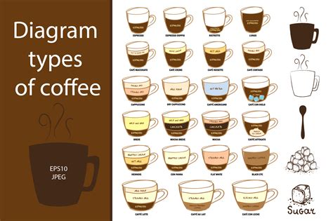 Diagram types of coffee ~ Illustrations on Creative Market