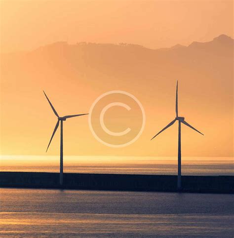 Maxeon Solar Panels Review 的图像结果