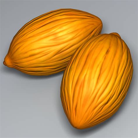 Canary Melon 3D Model $9 - .fbx .obj .max - Free3D