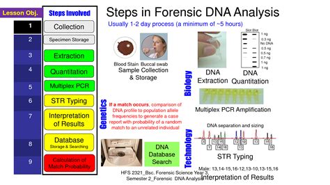 Forensic DNA Analysis Methods 的图像结果