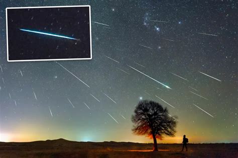 Humans Vs Robots: Don’t Give Advanced Machines Rights, AI Experts Warn - Newsweek