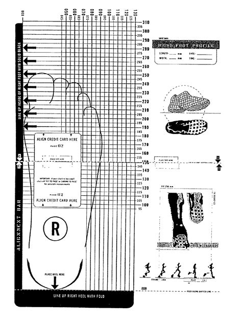 Shoe Size Chart Printable - King Printables