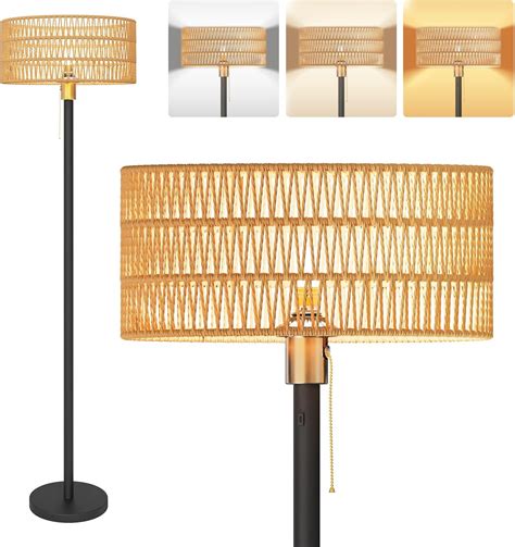 Cordless Rattan Rechargeable Farmhouse Floor Lamp with 3 Color ...