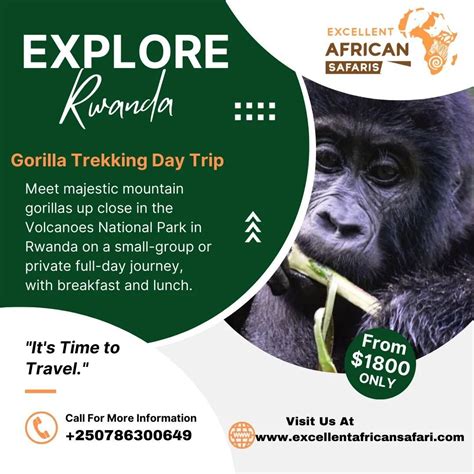 Gorilla Trekking Day Trip, Volcanoes National Park, Rwanda, Kigali, 20 ...