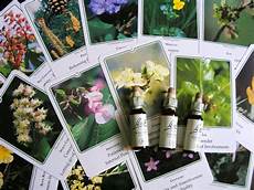38 fiori di bach las 38 flores de bach 38 fiori di bach las 38 flores de bach