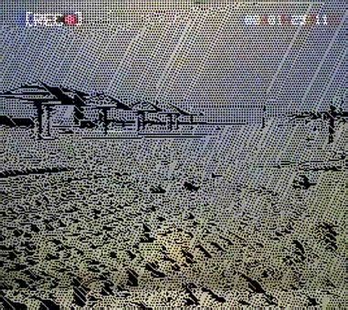 Image result for Random Animation