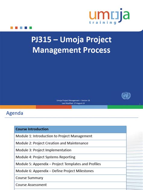 SAP Project Systems PDF 的图像结果
