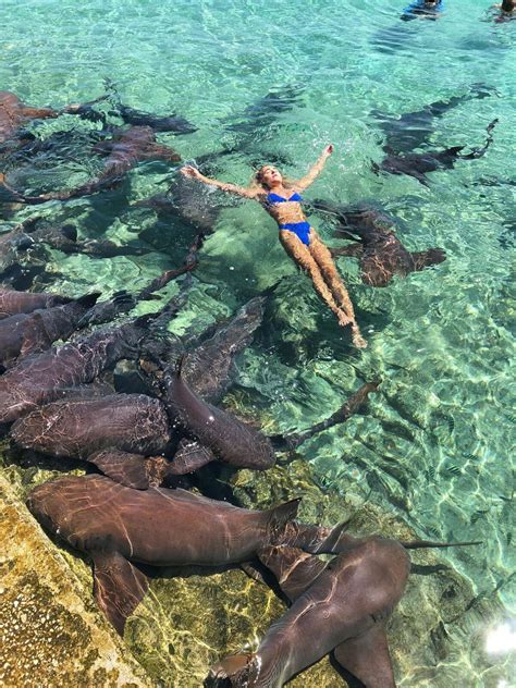 Houston model and Instagram celebrity attacked by shark