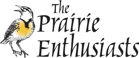 How to Plant a Prairie - In Your Backyard or the Back 40, 532 CR-F ...