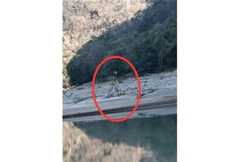 Alien Capturados 的图像结果