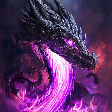Black and Purple Dragon Wallpapers - 4k, HD Backgrounds on WallpaperBat