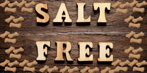 11 Best Salt Free Dog Treats – Acceptable Sodium Level & Vet Advice