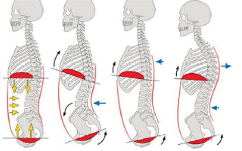 Image result for Structures of Pattern