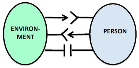 The Human Ecological Perspective and Biopsychosocial Medicine