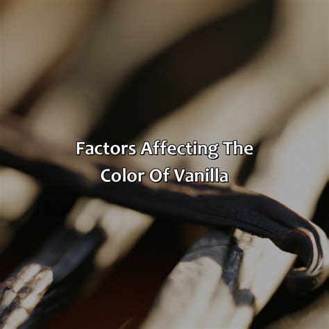 What Color Is Vanilla - colorscombo.com