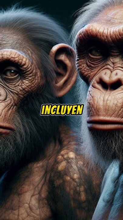 Australopithecus Habilis 的图像结果