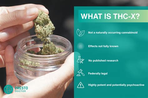 What Is Hydro Weed? Benefits, Potency & Difference - PrestoDoctor