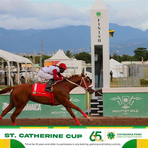Caymanas Park Racing | Horse Racing Track (@caymanasracing) • Instagram ...
